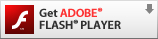 Get ADOBE FLASH PLAYER